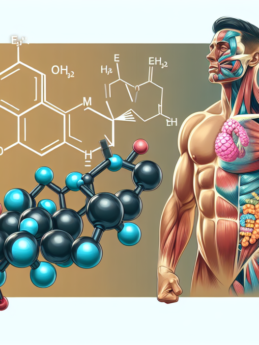 Metenolone enantato iniettabile e la sua azione sul sistema muscolare